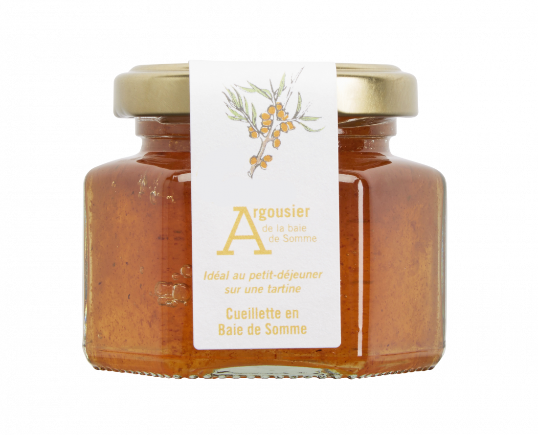 Argousier sauvage de la baie de Somme