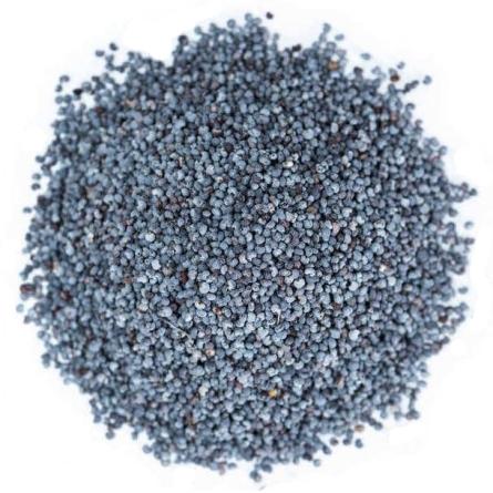 Pavot bleu