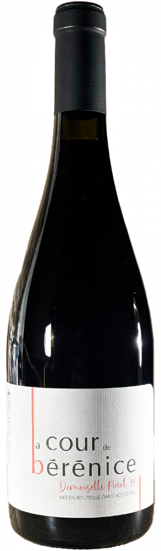 Demoiselle Pinot 'La cour de Bérénice'