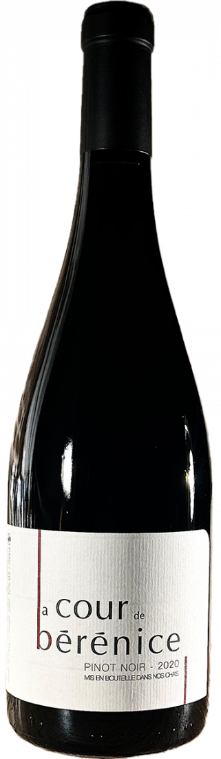 Pinot noir 'La cour de Bérénice'